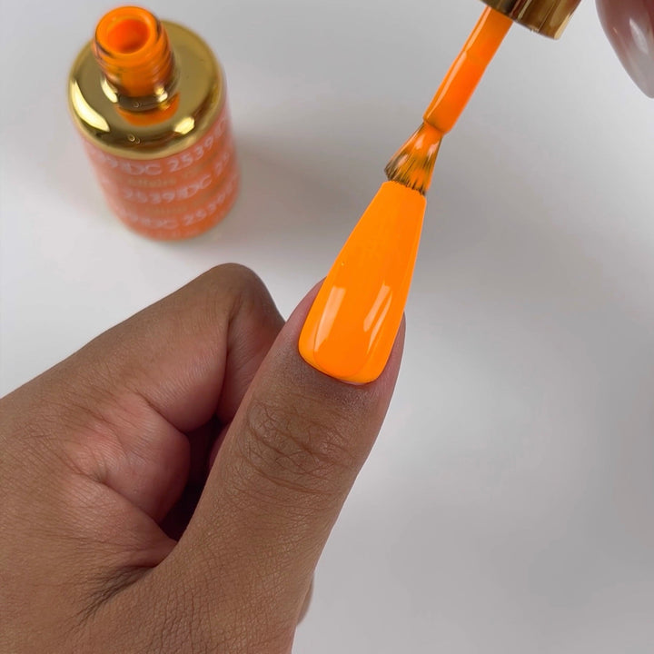 DND Citrus Affairs #2539