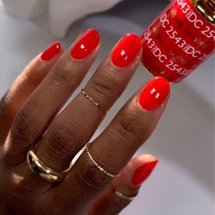 DND Ladybug #2543 - Final Sale