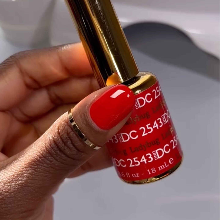 DND Ladybug #2543 - Final Sale