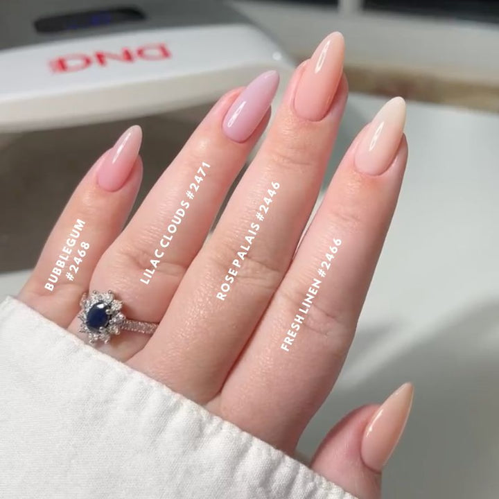 DND Rose Palais #2446