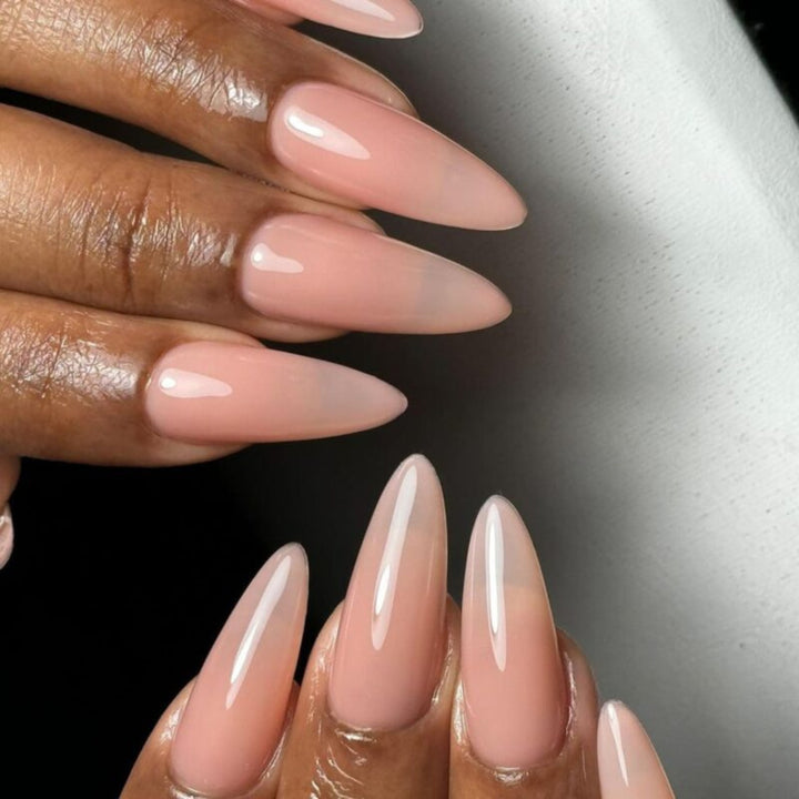 DND Soft Tulips #866