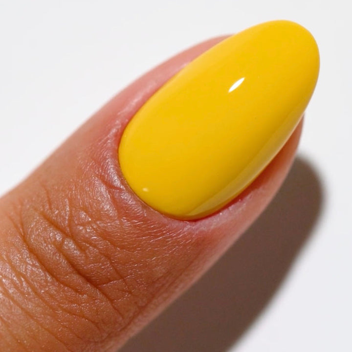 DND Sun Rebels #2516