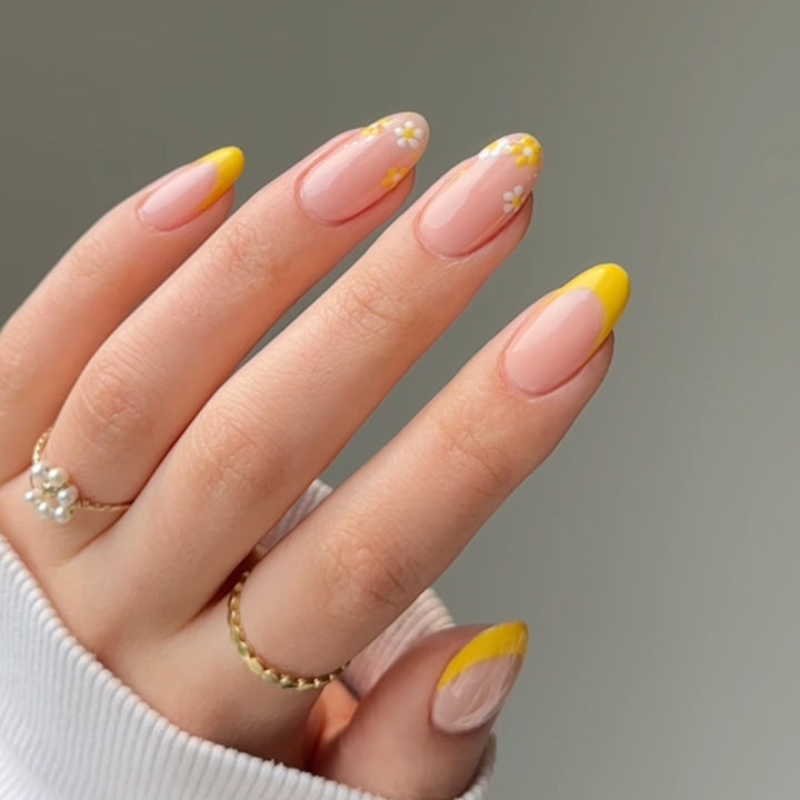 DND Sun Rebels #2516