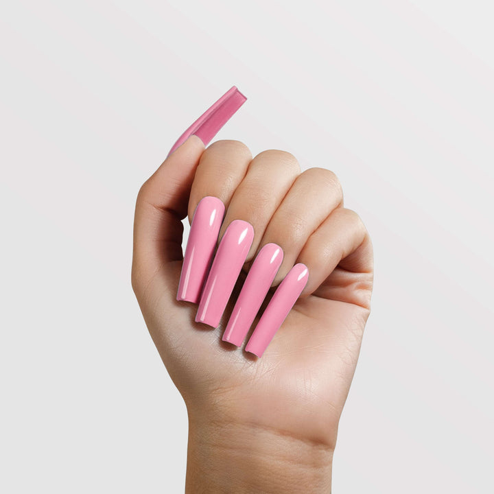 Chaun Legend Berry Blush