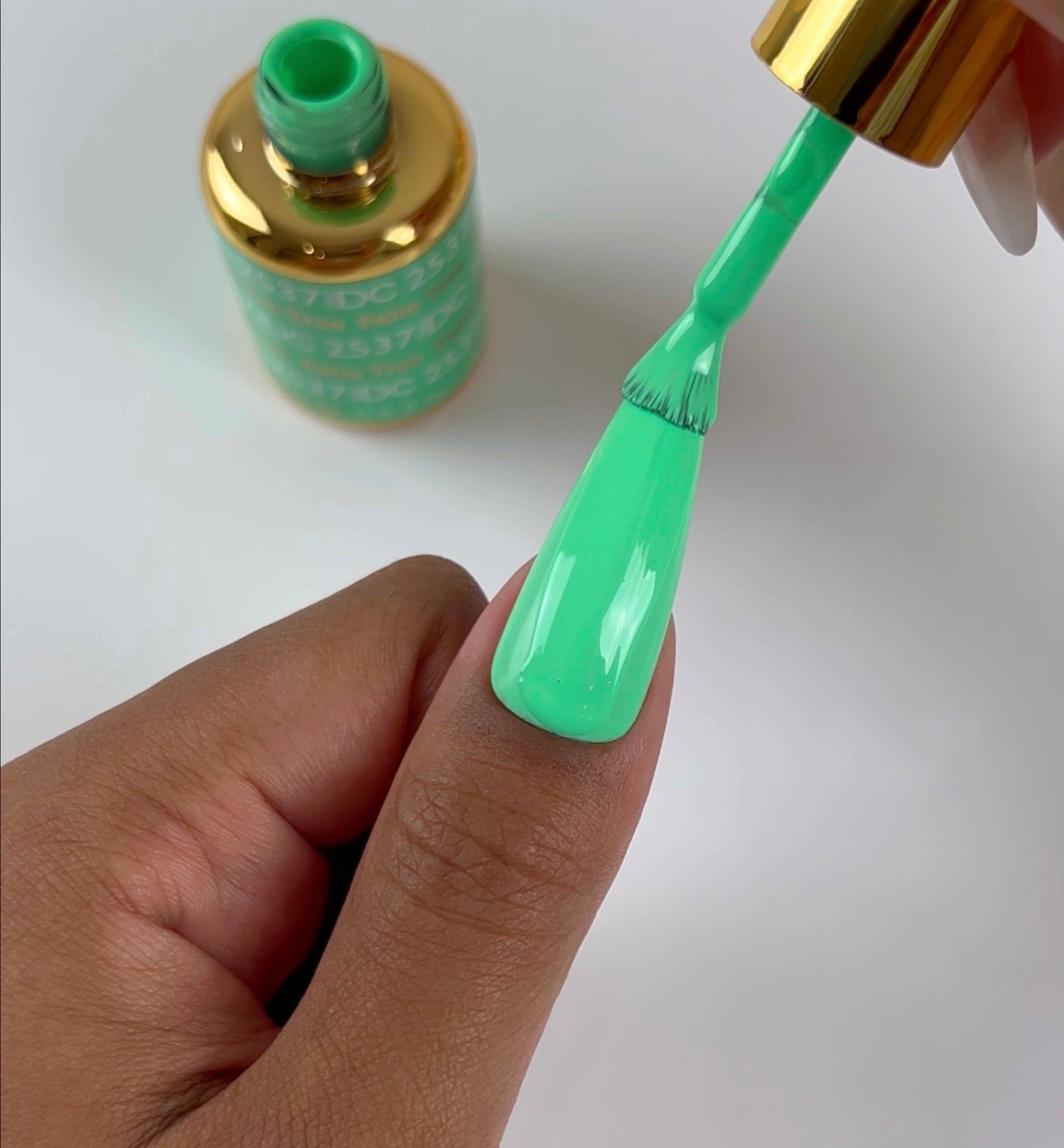 DND Palm Tree #2537 - Final Sale – Essentials Nail Supply